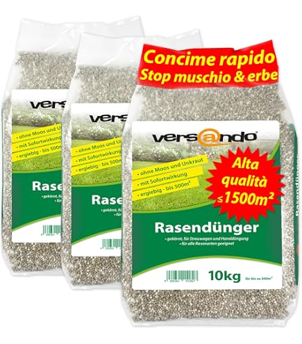 Semi Di Erba Greenyp 5 Kg Per 200 M² – Prato Decorativo A Crescita Rapida E Densa