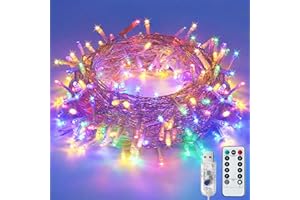 LITYBY Fairy Lights for Bedroom,8 Modes USB Plug in Powered Lights Waterproof Outdoor/Indoor Christmas Lights with Remote Timer for Bedroom, Party, Wedding, Christmas (Multi-Coloured)
