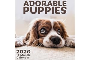 Calendario de pared de 12 meses - 28 x 43 cm abierto - Calendario de pared colgante - Adorables cachorros 2026 - Calendario mensual - de EcoEarth
