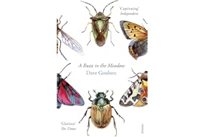 A Buzz in the Meadow: Dave Goulson