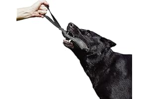 DINGO GEAR WWW.DINGOGEAR.COM 1977 Dingo Gear K9 IGP & Fun Jouet à mâcher en nylcot pour Dressage de Chien Noir 20 x 7 cm