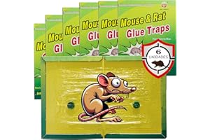 NEOWS Trampas para Ratas y Ratones 6Uds - Trampas con Pegamento Fuerte Adhesión - Cola para Ratas y Ratones Profesional No Tóxico - Aptas cucarachas y Arañas - Tamaño Grande Pegamento Extra 32x22cm (6Pcs)