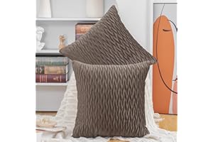 Madizz 2 Pezzi Federe in Velluto Copricuscini Morbido Decorativo Fodere per Cuscino Lusso Stile per Divano Camera da Letto Marrone Quadrate 60x60 cm