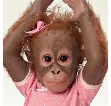 novi monkey doll