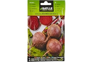 SEMILLAS BATLLE Semi Ortaggi di Batlle - Barbabietola Detroit 2 (500 Seeds)
