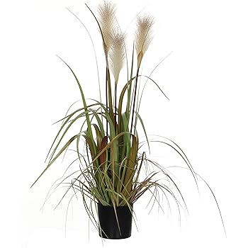 Amazon.de: DEKO TOPFPFLANZE "Uferschilf" 120 cm