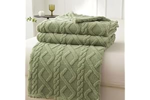 VANJOROY Fleece Blanket Large Throw for Sofa and Bed,400 GSM Lightweight Blanket, 100% Microfiber Fuzzy Soft Warm Cozy Fluffy Wool Throw for Chair,Couch,Travel.. (Sage Green, 150×200cm)