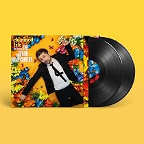 Charmed Life - The Best Of The Divine Comedy [VINYL] by The Divine