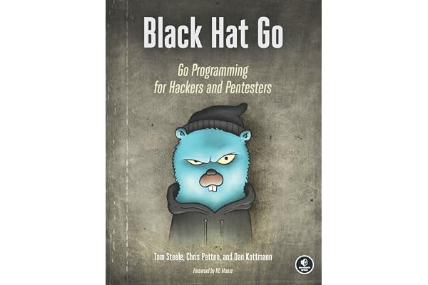 Black Hat Go: Go Programming For Hackers and Pentesters