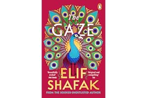The Gaze: The daringly funny historical novel from the bestselling author of There Are Rivers in the Sky