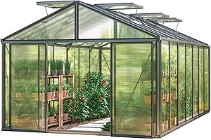 GFP Invernadero Asteria 25 Premium 311x534 cm Placas alveolares de 16 mm, Color Antracita