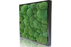 Naturewalls Moosbild Kugelmoos - Pflanzenbild im Vollholz-Rahmen | Schwarz - 55 x 55
