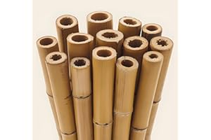 BPIL Gardens 2Ft,3Ft,4Ft,5Ft,6Ft,7Ft,8FT,10Ft Strong Heavy Duty Professional Bamboo Plant Support Garden Canes (10, 3ft, 12-14 mm)