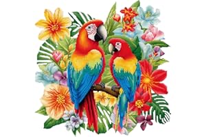 cukol cukol Kit Punto Croce Pappagallo, Schemi Quadri Set Ricamo Punto Croce Kit da Ricamare Principianti Starter Prestampato Stampato Completo Bambini Cross Stitch Embroidery Animali Ricami 36x36 cm