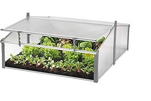 JUWEL Comfort, aiuola Doppia Easy-Fix 120/100 (aiuola in Pannelli a Camera Cava termoisolanti, Serra per la Coltivazione di Piante, con Fissaggio a Finestra, Dimensioni 120 x 100 cm) 20221