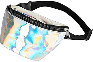 BEST FANCY DRESS One BFD Fanny Pack Waist Pack Bumbag Bum Bag Running Belt for Ladies Men Kids Festival Causal Holiday Wipe Clean Adjustable Strap (Silver Back)