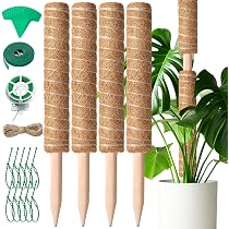 2 Pali Totem In Fibra Di Cocco Per Piante Rampicanti, 30 Cm, Estensibili, Supporto Per Monstera E Rampicanti - 4