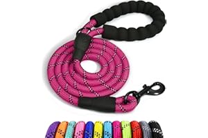 Taglory Correa de Perro, Correa de Fuerte de Perro para Perros Medianos y Grandes con Mango Acolchado Suave y Hilos Reflectantes, 1.5 m x 1.2 cm, Fucsia