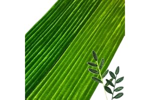 FANGZIDM 200 unidades limpiador de pipas verde 300 x 6 mm, limpiador de pipas para manualidades, creativo, árbol de Navidad, flores, decoración de animales