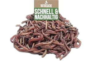 KOMPOSTWÜRMER kaufen - 1500 Stück/Eimer - Kompoststarter Regenwurm Set - Gartenwürmer/Regenwürmer Eisenia-Mix lebend - aktive Würmer für Kompost, Komposter, Wurmkomposter, Wurmkiste und Wurmfarm