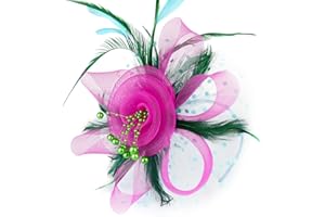 DRESHOW Fascinator Hüte für Damen Pillbox Hut mit Schleier Stirnband und Einer Gegabelten Clip Tea Party Kopfbedeckung