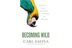 Becoming Wild: How Animal Cultures Raise Families, Create Beauty, and Achieve Peace