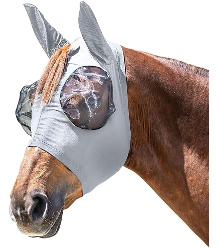Waldhausen XWB Masque anti-mouches avec protège-nez Noir Waldhausen XWB Masque anti-mouches avec protège-nez Noir