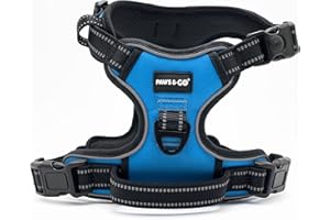 Paws & Go® Reflective No Pull Dog Harness for Nervous Pets - Step In Design for Small, Medium, and Large - Anti Escape, Puppy Proof - Adjustable, Heavy Duty, Breathable Vest