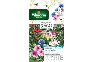 Vilmorin 5862942 Fleur parfumée, Multicolore, 90 x 2 x 160 cm