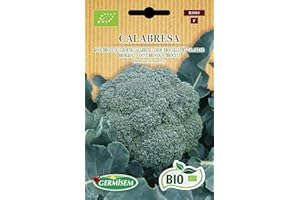 Germisem Orgánica Calabrese Semillas de Brócoli 3 g, ECBIO3003
