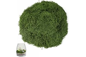 Hexizexi 200g Künstliches Moos Dunkelgrün Kunstmoos zum Dekorieren Kunstmoos zum Basteln Fake Moos Geeignet für Wand Hochzeit Festtagsdekorationen DIY Modellbau