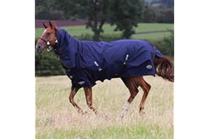 Gallop Trojan 450g Heavyweight Horse Turnout Rug Combo Full Neck Waterproof