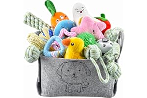 Ousiya Juego de 24 juguetes para cachorros, juguete masticable para cachorros con caja de almacenamiento, juguete masticable para perros y juguete chirriante para perros los perros pequeños y medianos