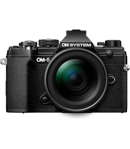 Buy Olympus OM-D E-M5 Mark III Body Black Online at Low