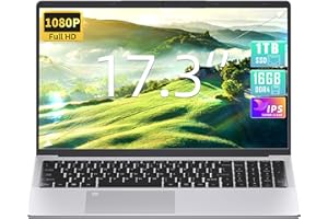 Fsjun 17.3" Laptop, Celeron N5095(Up to 2.9GHz) CPU, 1TB SSD 16GB RAM, 1080P IPS FHD Display, Win11 /Office 2019, Fingerprint Reader, Backlit KB, Mini-Hdmi, WiFi, 3xUSB 3.0, Silver(16G+1TB)