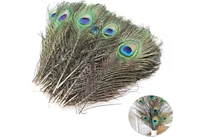 Sqxaldm 15 piume di pavone naturali, 25-30 cm, belle piume di coda di pavone, decorazioni per cappelli, fai da te, artigianato, testa di pavone, decorazione per la casa, cosplay