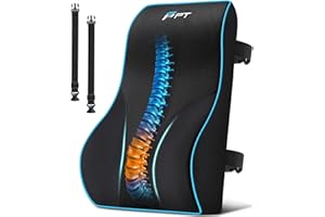 POOTACK Lumbar Support Cushion, Memory Foam Back Support Cushion Lumbar Support for Office Chair, Car Seat, Recliner, with Extension Strap and Mesh Cover, Christmas Early