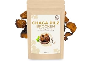 ‎CURLY SUPERFOOD Curly Superfood Chaga Pilz Brocken Wildsammlung 250g - Nachhaltig & Wild gesammelt aus nordischen Wäldern - Chaga Brocken 3-5cm groß für Chaga Pilz Tee/Aufguss & Kaffee