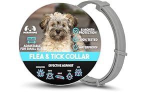 MeraPrime® Collar Antiparasitario Perros | Collar Leishmaniosis (Mosquitos), Pulgas y Garrapatas | Antipulgas y Garrapatas Perros Medianos y Pequeños | 38cm Ajustable, 8 Meses, Vegetal, Impermeable