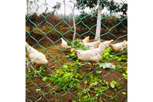 LXGKREL Filet à volailles très robuste en 36 fils avec nœuds fixes - Maille de 5 cm - Sans électricité - Pour la protection des oiseaux de proie - Complément idéal au poulailler - 1,5 x 10 m