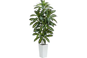 TNGGNT Artificial Plants Dracaena Tree 6FT, Large Artificial Plants Indoor with White Tall Planter, Tall Fake Floor Plant in Pot Indoor Decor, Fake Dracaena Tree for Home Living Room Office Decor