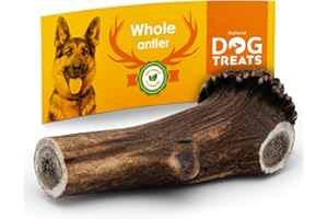 GIGIL TREAT YOUR PET LIKE A KING 100% Naturel Bois de Cerf pour Chien - Corne Jouet Os a Mâcher - Bois de Cerf Tranché pour Chien - 100% Naturel Corne Jouet Os a Mâcher - Jouet Chien - Corne de Cerf pour Chien - Taille X-Large