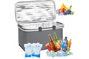 Zoonvii Sac Isotherme, Sac de Pique-Nique de Repas à Déjeuner, Pliable Etanche Isotherme Léger, 30L-Gris