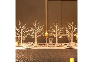 ‎DELICHTER DELICHTER 4er Set Lichterbaum Lichterzweige für Innen 24 Warmweiß LEDs Bäumchen Birken Dekozweige Batteriebetrieb Weihnachtsdeko für Zuhause Party Geburtstag Hochzeit Innendekoration Tischdeko