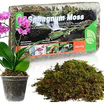 ZATIXBU Sphagnum Moos 200g, Natürlich Luftgetrocknet - Für Orchideen, Terrarien, Fleischfressende Pflanzen & Sukkulenten