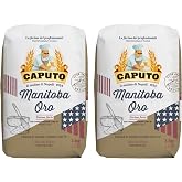 Caputo Manitoba Oro 1 kg &ndash; Italian Strength Flour for Long Fermentations, Panettone, Brioche and Pizza &ndash; Mill Caputo &ndash; Pack L