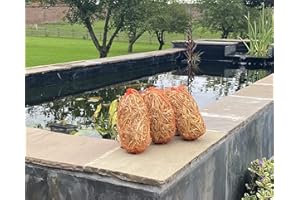HEIST STORE LIMITED Barley straw for ponds - Barley straw treatment - Extract and treat blanket weed - Environmentally friendly - 3 for the price of 2 - From straw bale - Best value for money - Heist Store Ltd