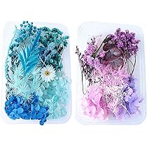 Fleurs Séchées Naturelles TTBDDM - Kit DIY Bleu Pour Résine Époxy, Signets Et Créations Artistiques Boîte Fleurs Séchées Bricolage