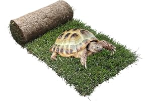 PETZOLLA Ricarica S Tartarughe 60x40cm - Terrario tartarughe di terra in vero prato naturale, Ricambio facile da sostituire per il Kit tartarughe S, casetta per tartarughe da interno dura fino a 5 mesi