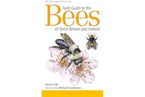 Field Guide to the Bees of Great Britain and Ireland (Bloomsbury Wildlife Guides)